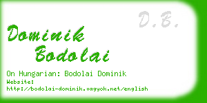 dominik bodolai business card